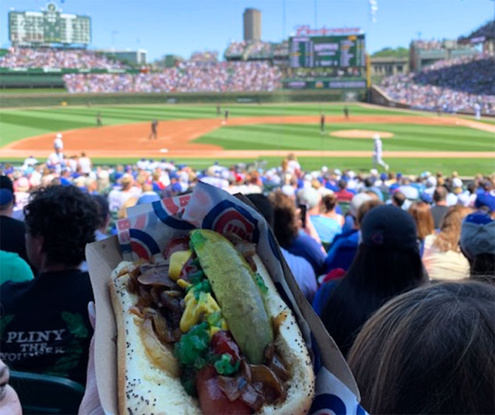 A Chicago hot dog with a Cubs baseball game in the background